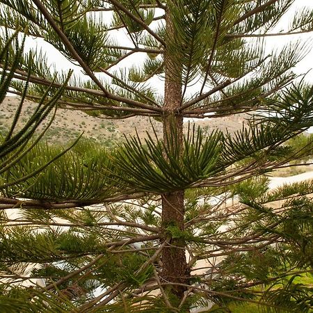 فندق كالوغريافي  Seimeio Strofilia المظهر الخارجي الصورة