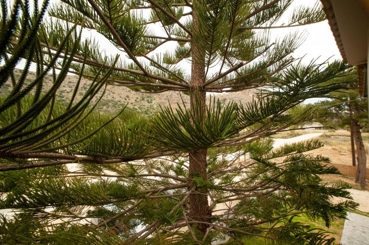 فندق كالوغريافي  Seimeio Strofilia المظهر الخارجي الصورة